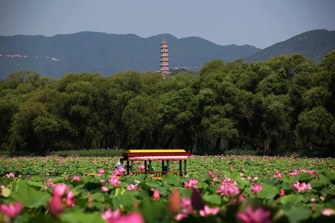 Private Day Tour: Summer Palace and Old Summer Palace in Beijing - Transitioning to the Old Summer Palace: Yuanmingyuan’s emotional weight