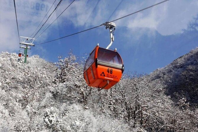 Private Day Tour to Beijing Mutianyu Great Wall - Duration: 4 to 8 hours, and how to choose your ideal timing