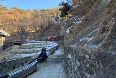 Private Day Tour to Mutianyu Great Wall and Summer Palace - Getting up and back: cable car, chair lift, or toboggan
