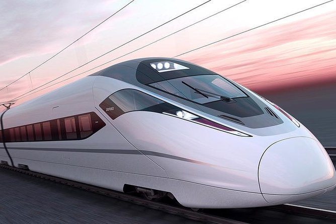 Private Day Trip: Discover Tianjin by Bullet Train from Beijing - Price and what you actually get for $224