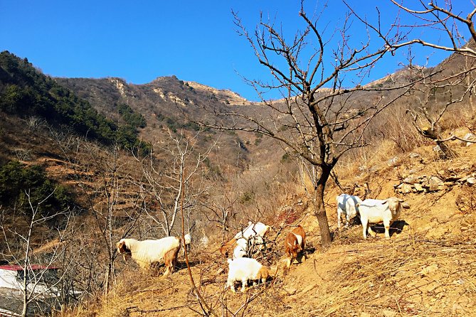 Private Great Wall Hiking Tour: Across The Border of 3 China Provinces - Price and value: what $198 includes that matters