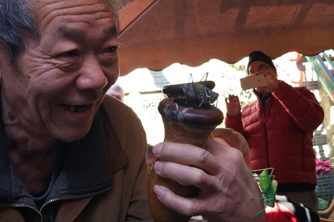 Private Hutong Culture Tour with Dumpling Cooking Class plus Cricket Fighting Game - Confucius Temple and Guozijian Museum: steles and ancient trees