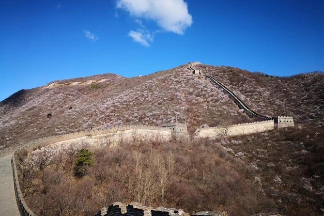 Private Layover Tour to Mutianyu Great Wall and Forbidden City - How your 9 to 10 hours get used (and why flexibility matters)