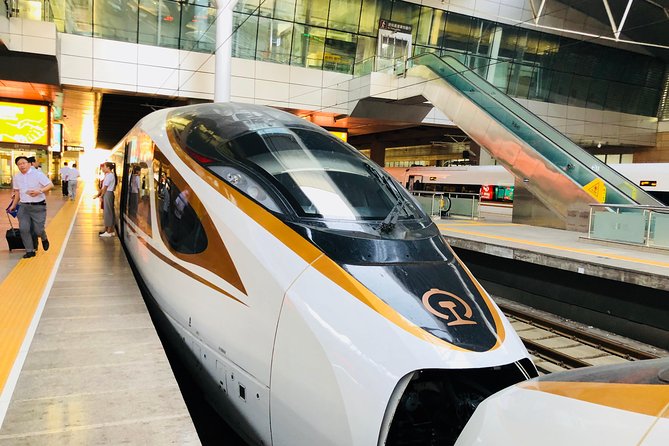 Private Tianjin Port Departure Transfer from Beijing by Bullet Train Experience - What This Beijing-to-Tianjin Cruise Transfer Gets Right