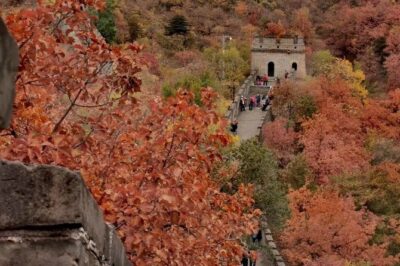 Private Tour: Forbidden City and Mutianyu Great Wall with Cable Car or Toboggan - Tiananmen Square: a quick, useful orientation stop