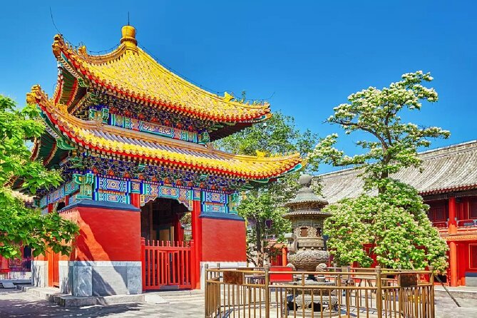 Private Tour to Lama Temple, Tian'anmen Square and Forbidden City - Key highlights you’ll actually feel on this tour