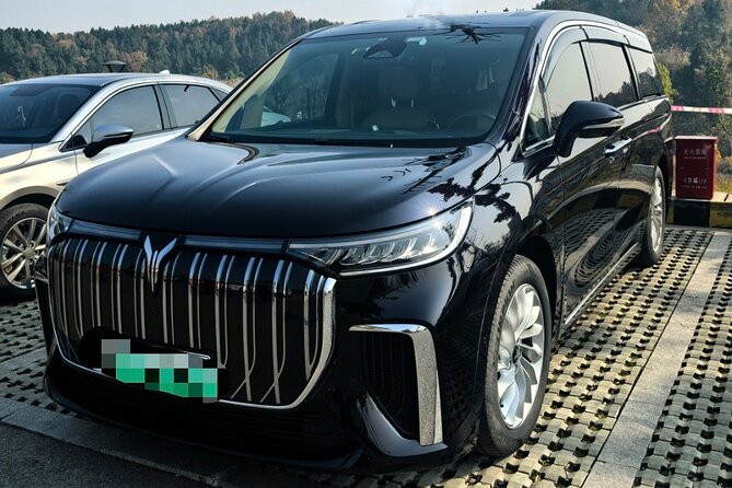 Private Transfer for Beijing Airport PEK or PKX - Key points to know before you book