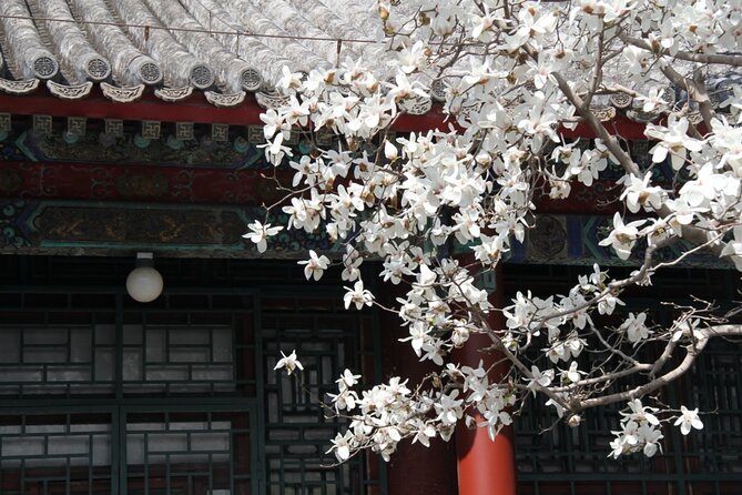 Summer Palace Ticket with optional Guided Tour - Price and What the $8 Ticket Really Includes