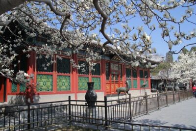 Summer Palace Ticket with optional Guided Tour - Meeting Point Near Transit: Easier Than You Think