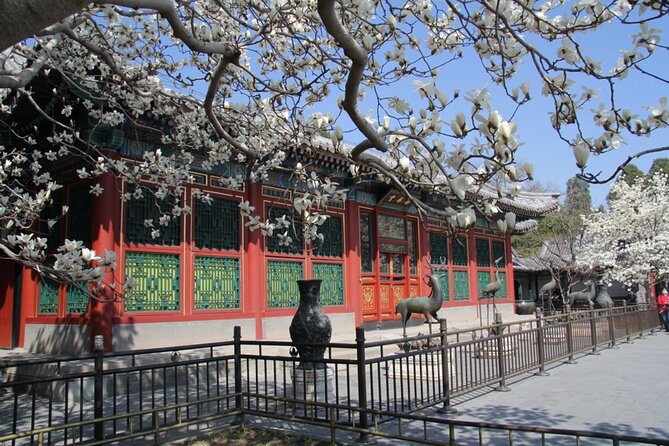 Summer Palace Ticket with optional Guided Tour - Meeting Point Near Transit: Easier Than You Think