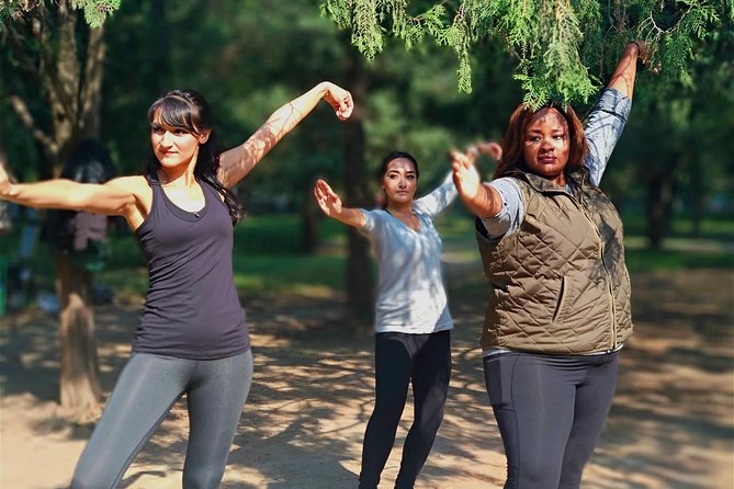 Tai Chi or Kung Fu plus Chinese Calligraphy Learning Class - Who Should Book This Class (and Who Might Want Another Option)