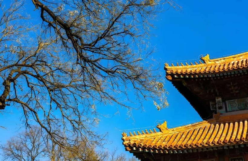 Tickets to all Beijing attractions (Forbidden City optional) - Key highlights worth planning around