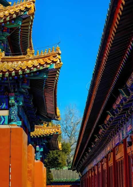 Tickets to all Beijing attractions (Forbidden City optional) - Temple of Heaven: the landmark you’ll recognize even if you don’t know the details yet