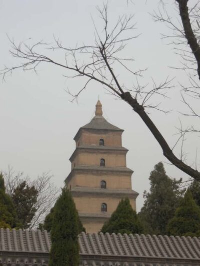 Xi'an: Terra-Cotta Warriors Entry with Optional Guide - Entry Plan, Timing, and the Real Meaning of “Private”