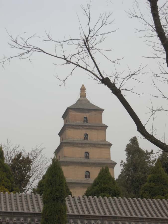 Xi'an: Terra-Cotta Warriors Entry with Optional Guide - Entry Plan, Timing, and the Real Meaning of “Private”